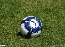 奖金总额累,开云体育娱乐app安全,开云体育,开云体育,开云体育官网,开云体育app,开云体育平台,KAIYUN,SPORTS,kaiyun登录入口