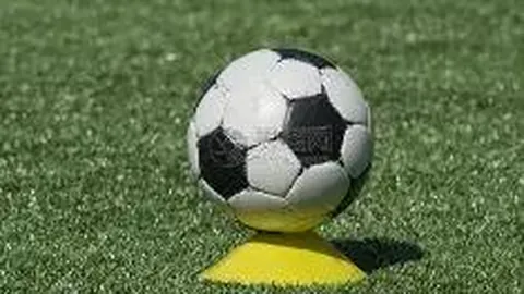 开云体育娱乐app安全 产品 102734 edl