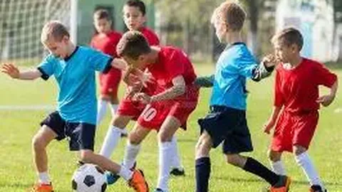 黄金ETF（518880）- 黄金交易型开放式基金