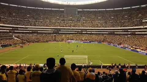 开云体育娱乐app安全 产品 091348 sew