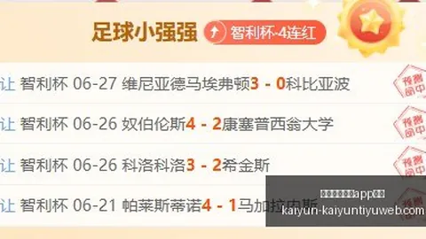 开云体育娱乐安全 150646 8
